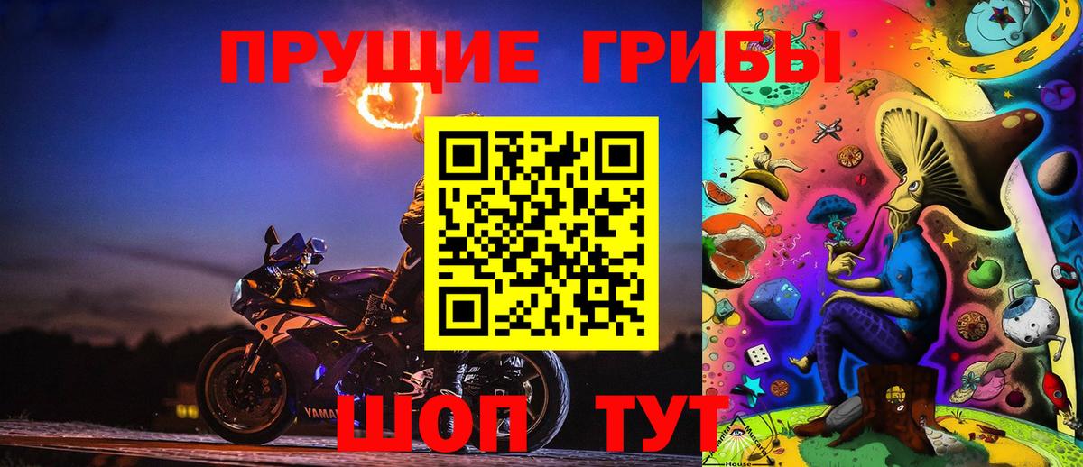 Орск  Галлюциногенные грибы прущие грибы  Вход с VPN 