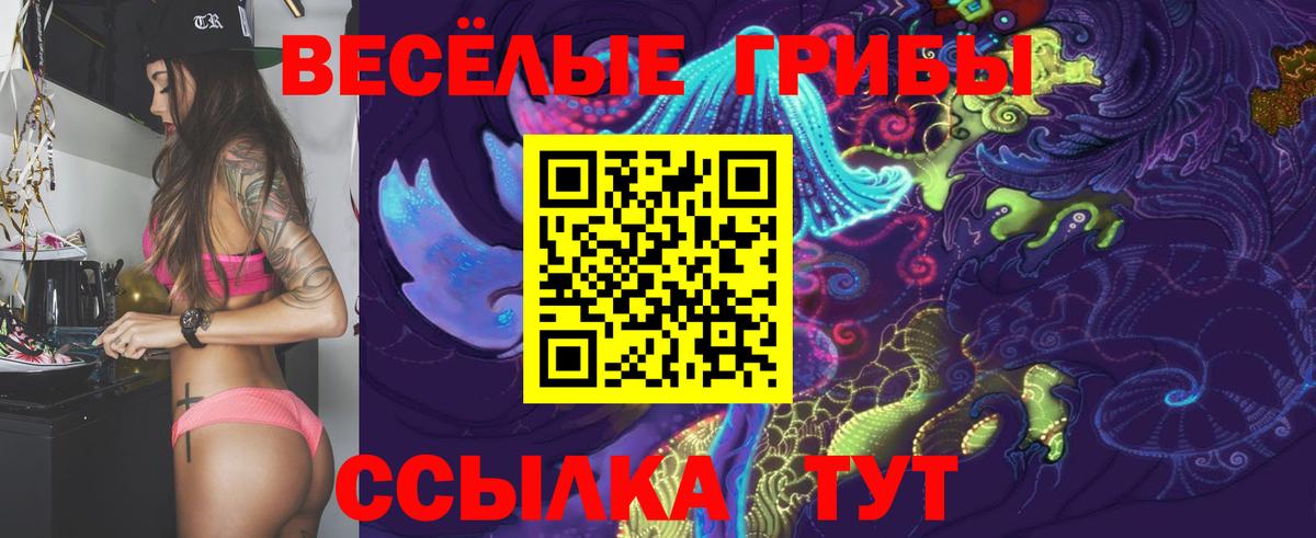 Псилоцибиновые грибы мицелий Орск